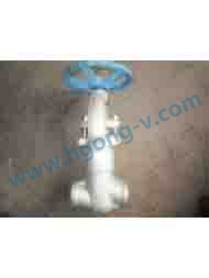 DIN/API 2500LB stainless steel forged globe valve